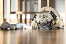 Image fiches-pratiques/mise-en-sommeil/mise-en-sommeil-sas-sarl/