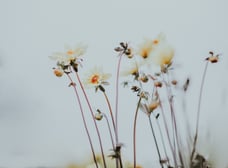 Pourquoi et comment faire un bilan de compétences ?
